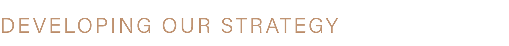 DEVELOPING OUR STRATEGY