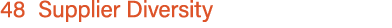 48 Supplier Diversity 